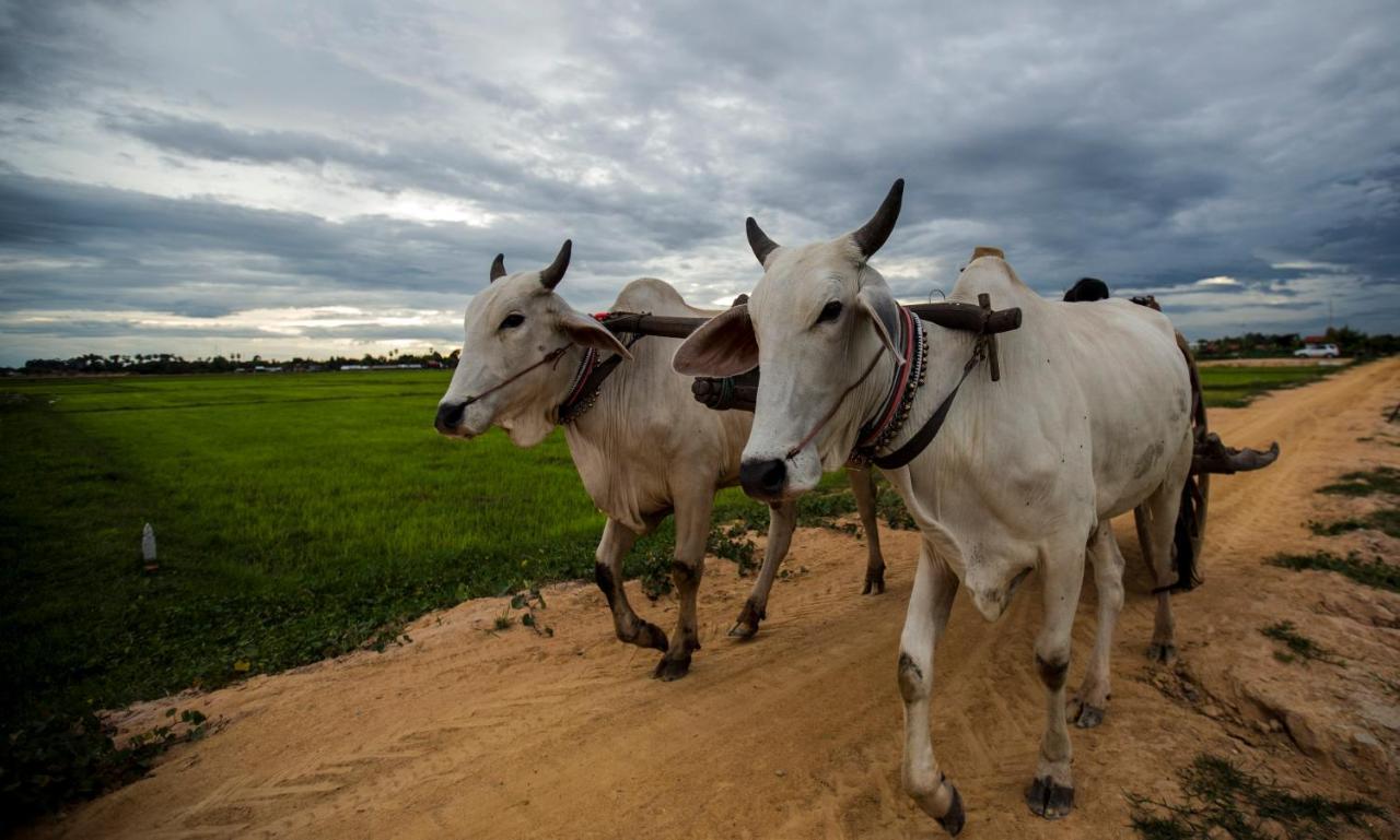 Madam Sokha Homesteading Сіємреап Екстер'єр фото